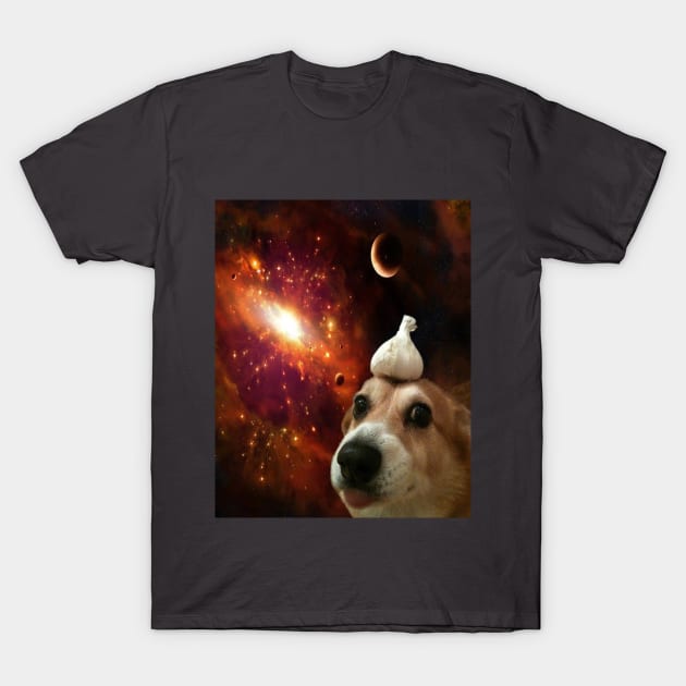 Doge T-Shirt by XeVoNx